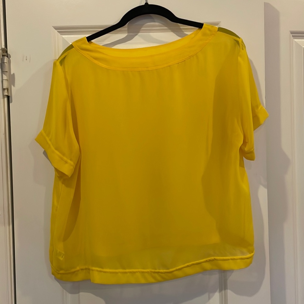 American Apparel Sheer Chiffon Top